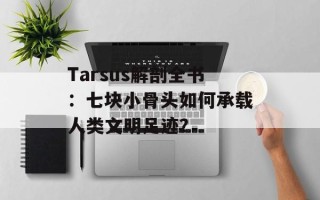 Tarsus解剖全书：七块小骨头如何承载人类文明足迹？