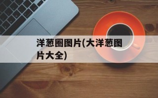 洋葱圈图片(大洋葱图片大全)