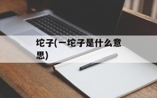 坨子(一坨子是什么意思)