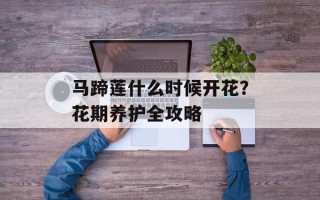 马蹄莲什么时候开花？花期养护全攻略