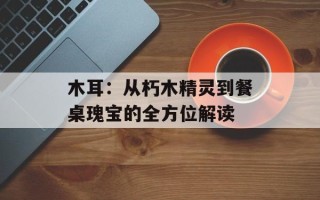 木耳：从朽木精灵到餐桌瑰宝的全方位解读