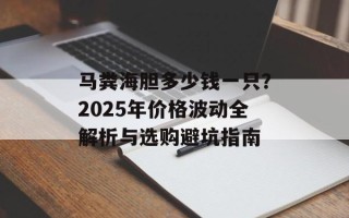 马粪海胆多少钱一只？2025年价格波动全解析与选购避坑指南