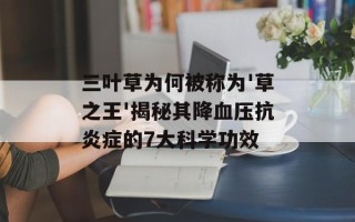 三叶草为何被称为'草之王'揭秘其降血压抗炎症的7大科学功效