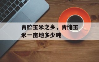 青贮玉米之乡，青储玉米一亩地多少吨