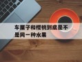 车厘子和樱桃到底是不是同一种水果