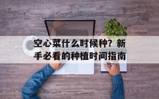空心菜什么时候种？新手必看的种植时间指南