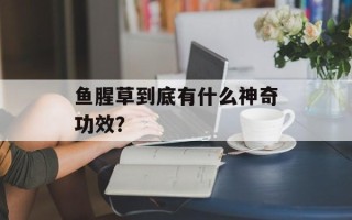 鱼腥草到底有什么神奇功效？