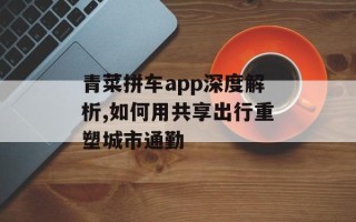青菜拼车app深度解析,如何用共享出行重塑城市通勤