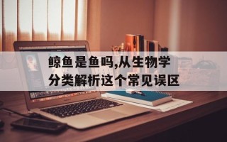 鲸鱼是鱼吗,从生物学分类解析这个常见误区