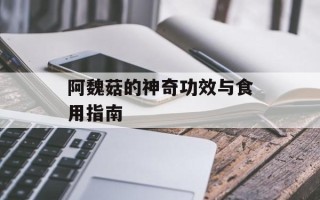 阿魏菇的神奇功效与食用指南