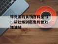 锌元素的食物百科全书：从牡蛎到燕麦的智力加油站