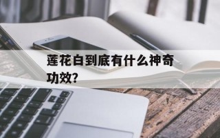 莲花白到底有什么神奇功效？