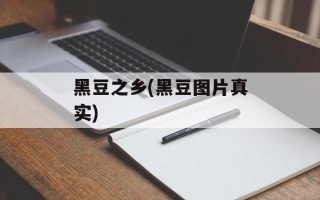 黑豆之乡(黑豆图片真实)