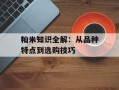 籼米知识全解：从品种特点到选购技巧