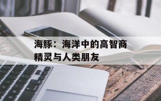 海豚：海洋中的高智商精灵与人类朋友