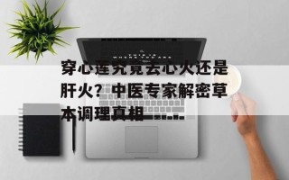 穿心莲究竟去心火还是肝火？中医专家解密草本调理真相