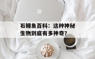 石鳗鱼百科：这种神秘生物到底有多神奇？
