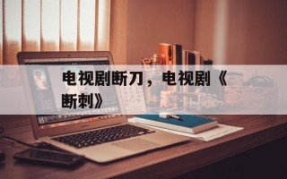 电视剧断刀，电视剧《断刺》