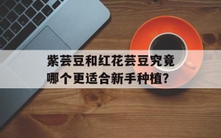 紫芸豆和红花芸豆究竟哪个更适合新手种植？