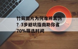 竹茹图片为何难辨真伪？3步避坑指南助你省70%筛选时间