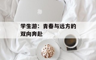 学生游：青春与远方的双向奔赴