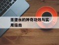 莲蓬水的神奇功效与实用指南