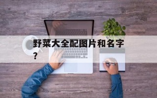 野菜大全配图片和名字？