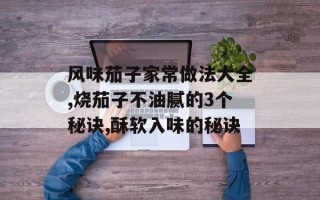 风味茄子家常做法大全,烧茄子不油腻的3个秘诀,酥软入味的秘诀