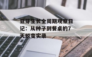 豆芽生长全周期观察日记：从种子到餐桌的7天蜕变实录