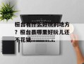 桓台有什么好玩的地方？桓台县哪里好玩儿还不花钱