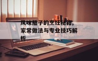 风味茄子的烹饪秘籍,家常做法与专业技巧解析