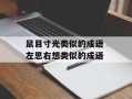 鼠目寸光类似的成语 左思右想类似的成语