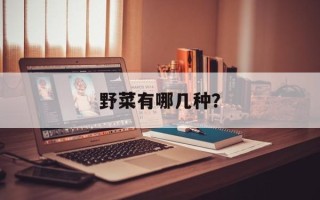 野菜有哪几种？