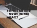 羊肉炖土豆的做法大全：从家常到进阶的10种经典配方