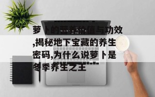 萝卜的营养价值与功效,揭秘地下宝藏的养生密码,为什么说萝卜是冬季养生之王