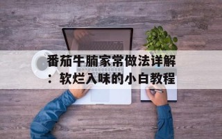 番茄牛腩家常做法详解：软烂入味的小白教程