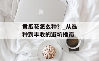 黄瓜花怎么种？_从选种到丰收的避坑指南