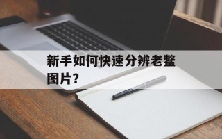 新手如何快速分辨老鳖图片？