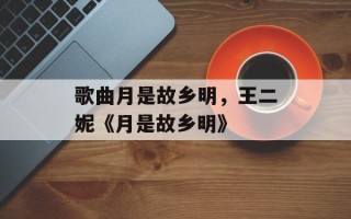 歌曲月是故乡明，王二妮《月是故乡明》
