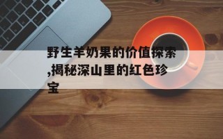 野生羊奶果的价值探索,揭秘深山里的红色珍宝