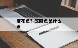 麻花鱼？芝麻鱼是什么鱼