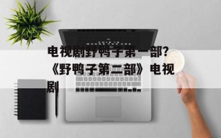 电视剧野鸭子第一部？《野鸭子第二部》电视剧