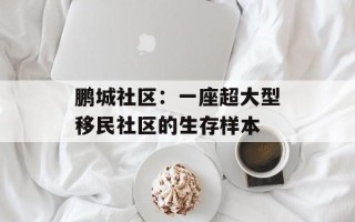 鹏城社区：一座超大型移民社区的生存样本