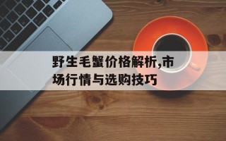 野生毛蟹价格解析,市场行情与选购技巧