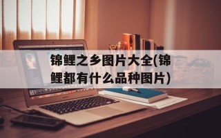 锦鲤之乡图片大全(锦鲤都有什么品种图片)