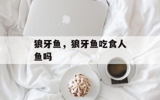 狼牙鱼，狼牙鱼吃食人鱼吗
