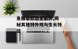 鱼腥草形态全解析,揭秘其独特外观与生长特征