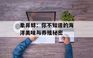 象鼻蚌：你不知道的海洋美味与养殖秘密