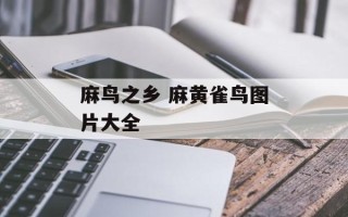 麻鸟之乡 麻黄雀鸟图片大全