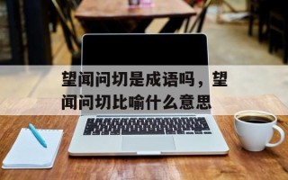 望闻问切是成语吗，望闻问切比喻什么意思